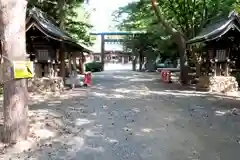 琴似神社(北海道)