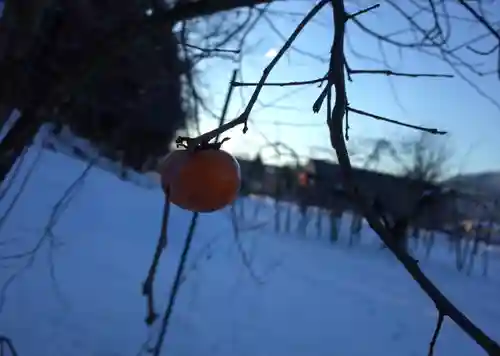 飯笠山神社(長野県)