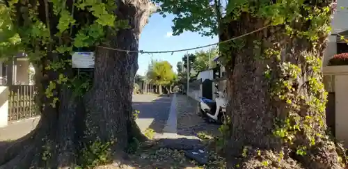 愛宕神社(千葉県)