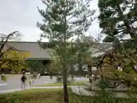 蓮華王院(三十三間堂)(京都府)