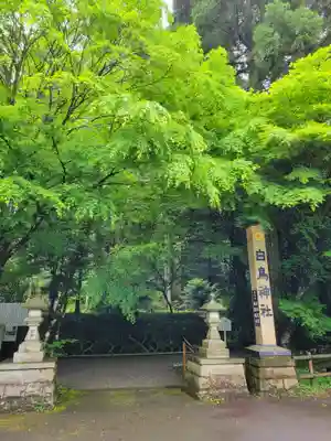白鳥神社(宮崎県)
