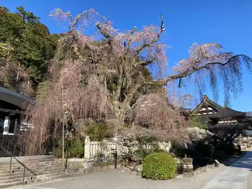 久遠寺(山梨県)