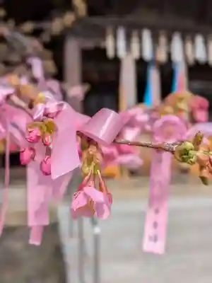 桜神宮(東京都)