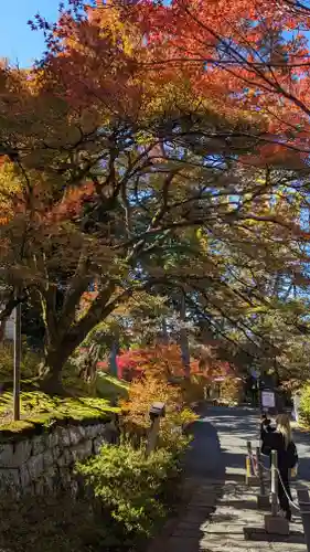 曼殊院門跡(京都府)