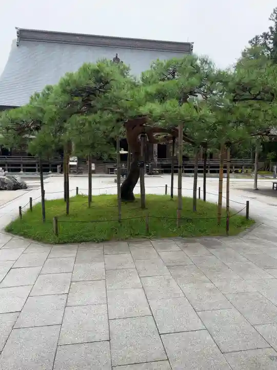中尊寺(岩手県)
