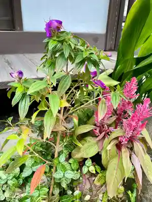 總持院(谷中不動尊)(東京都)