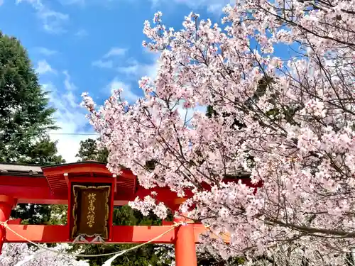 蚊里田八幡宮(長野県)