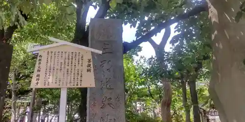 西新井大師総持寺(東京都)