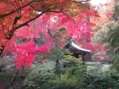 深大寺の庭園