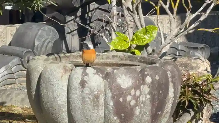 西方山極楽寺(岐阜県)
