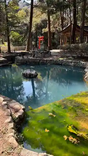 大麻比古神社(徳島県)