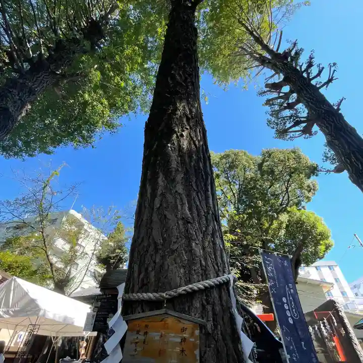 田無神社の自然