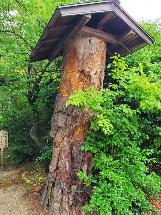 臂岡天満宮の自然