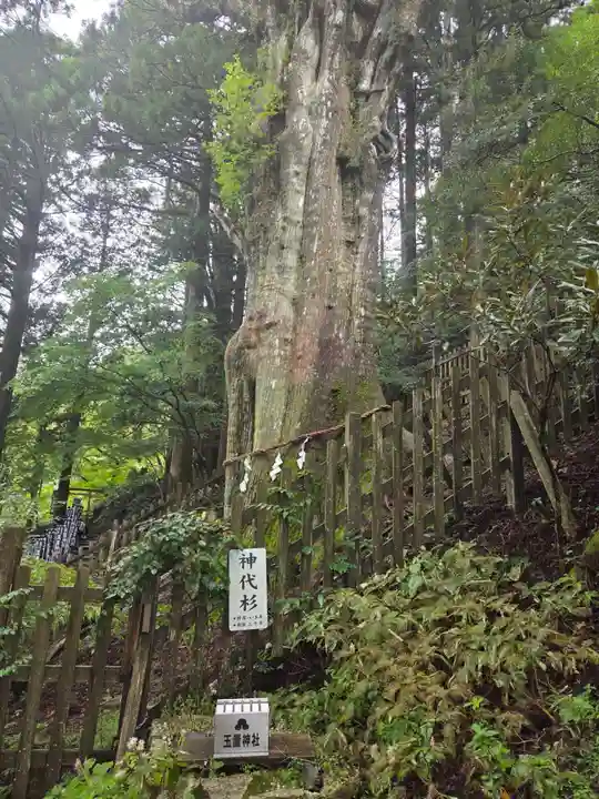 玉置神社の御朱印