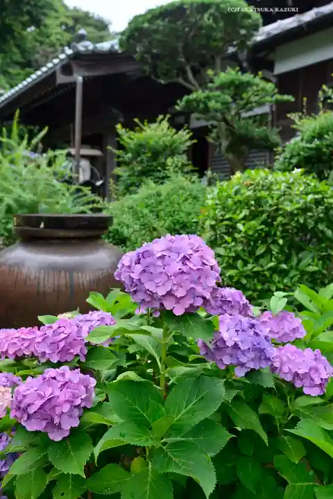 妙楽寺(神奈川県)