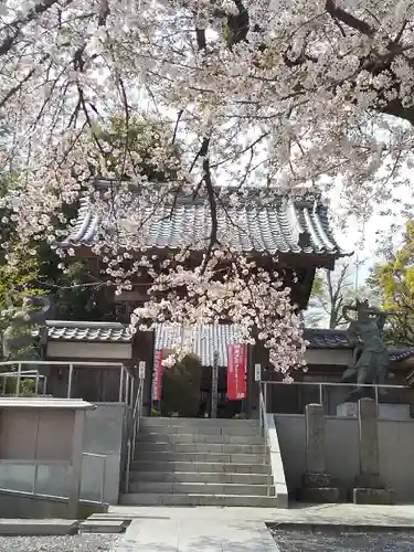 慈眼寺の山門