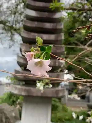牛来寺(栃木県)