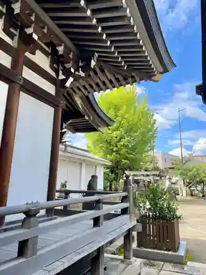 綾瀬稲荷神社(東京都)