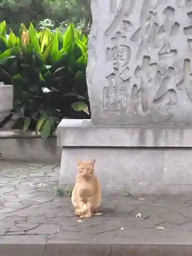 住吉大社の動物