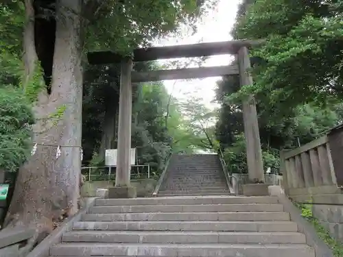 所澤神明社の鳥居