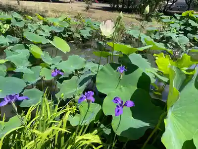 雲龍山 本證寺(愛知県)