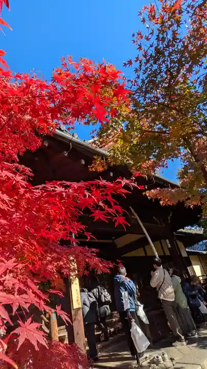 勝林寺(京都府)