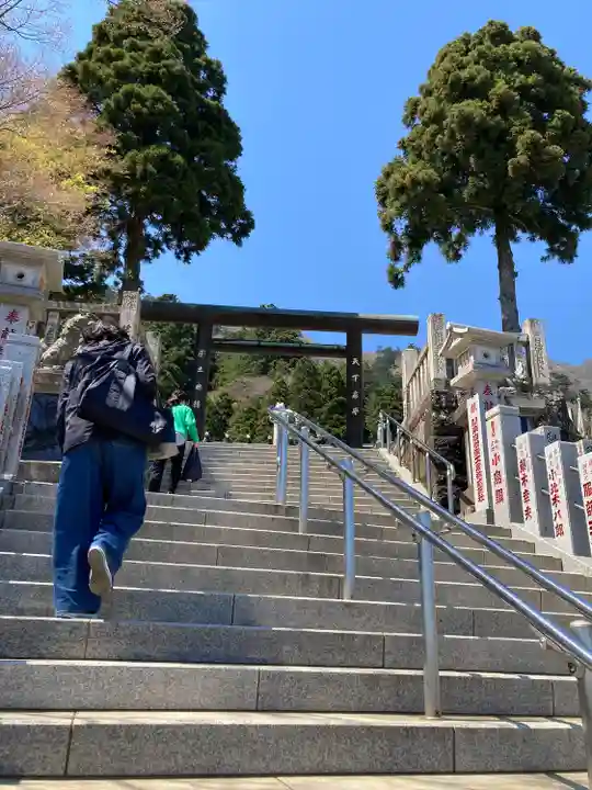 大山阿夫利神社(神奈川県)