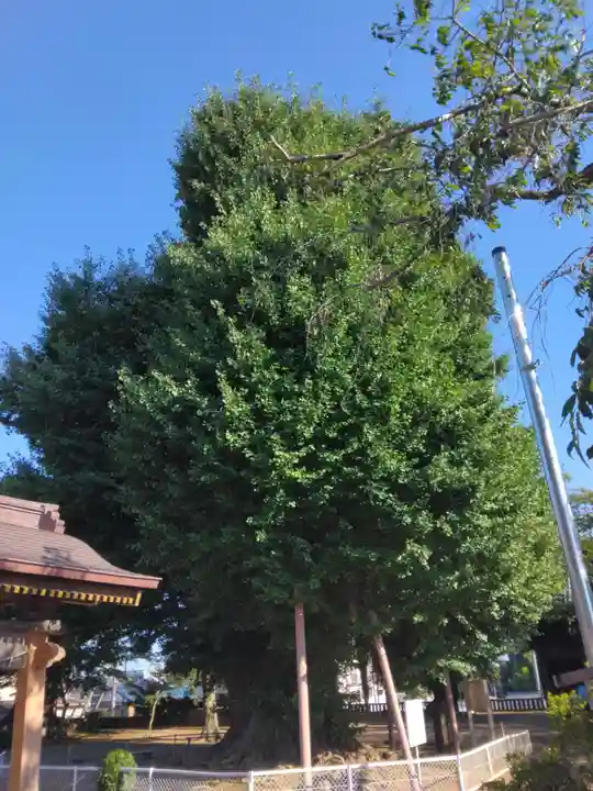 千葉寺(千葉県)