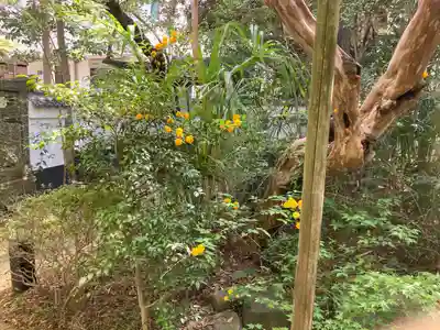 全龍寺(神奈川県)