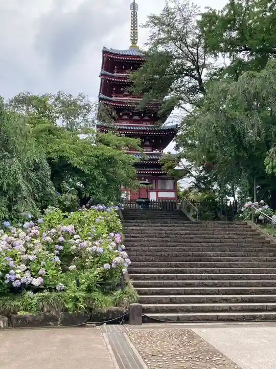 本土寺(千葉県)