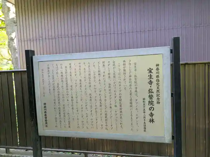 宝生寺の{uncategorized: "未分類", other: "その他", undefined: "問題あり", building: "その他建物", grave: "お墓", sacred_gate: "鳥居", guardian: "狛犬", statue: "像", buddha: "仏像", history: "歴史", nature: "自然", garden: "庭園", animal: "動物", pagoda: "塔", temizu: "手水舎", mountain_gate: "山門・神門", sanctuary: "本殿・本堂", subordinate: "末社・摂社", art: "芸術", scenery: "景色", jizo: "地蔵", ema: "絵馬", goshuin: "御朱印", omikuji: "おみくじ", items: "授与品その他", amulet: "お守り", goshuincho: "御朱印帳", eats: "食事", festival: "お祭り", votive_dance: "神楽", shichigosan: "七五三参", wedding: "結婚式", experience: "体験その他", initially: "初詣", around: "周辺", anti_infection: "感染症対策"}