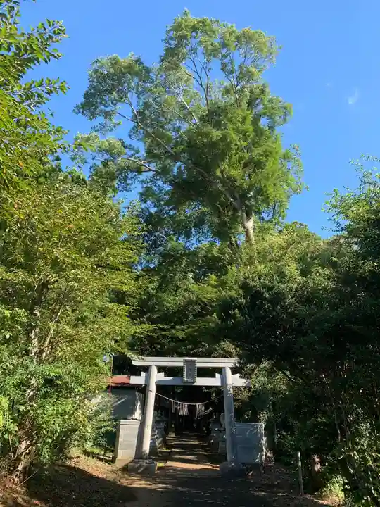 八幡神社(千葉県)