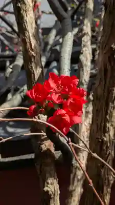西方寺(京都府)