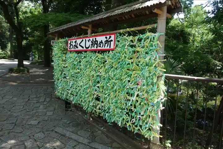 武蔵一宮氷川神社のおみくじ