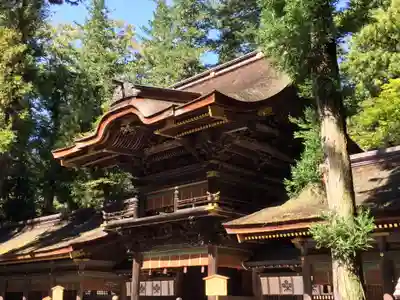 諏訪大社下社春宮の本殿・本堂