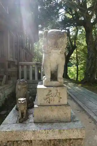 須部神社の狛犬