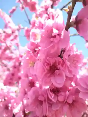 巳徳神社の周辺