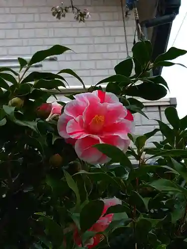 秋葉神社(東京都)