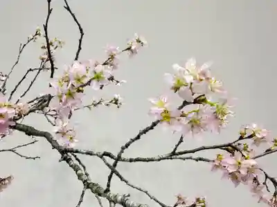 西方山極楽寺(岐阜県)