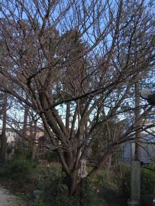 龍華寺(神奈川県)