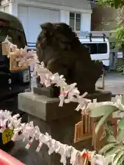 椙森神社の狛犬