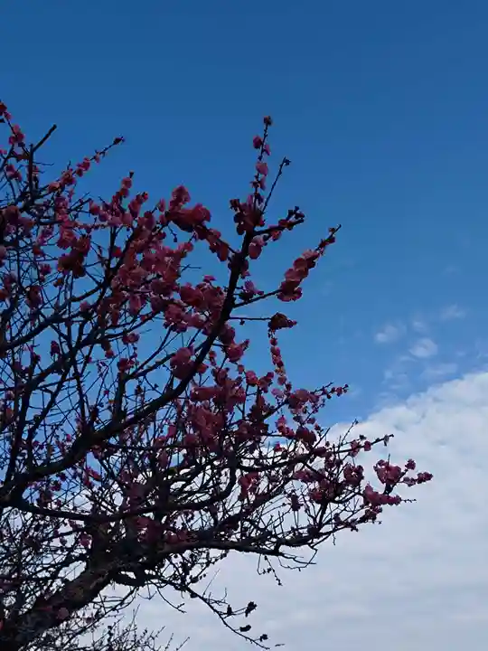 網敷神社(福岡県)