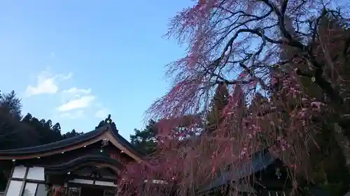 南湖神社の建物その他