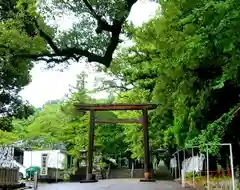 井伊谷宮の鳥居