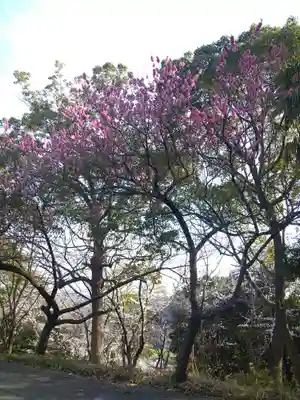 足高神社の自然