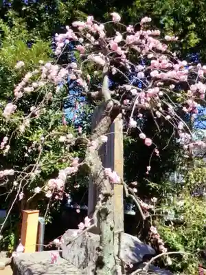 布多天神社(東京都)