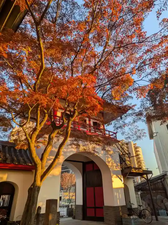 成願寺(東京都)