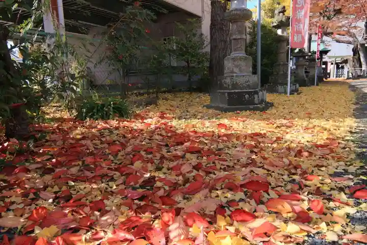 阿邪訶根神社の自然