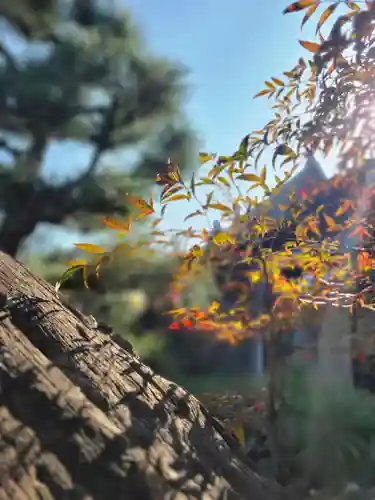 正法寺(京都府)