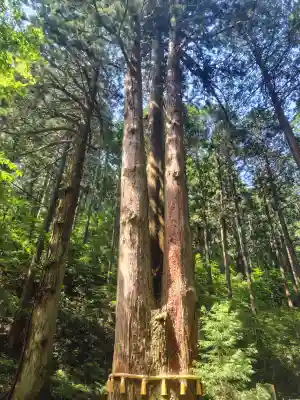 御岩神社(茨城県)